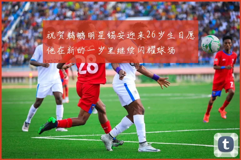 祝贺鹈鹕明星锡安迎来26岁生日愿他在新的一岁里继续闪耀球场