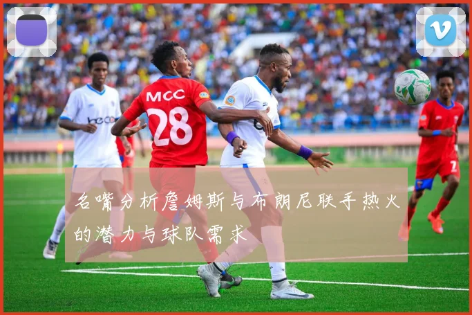 名嘴分析詹姆斯与布朗尼联手热火的潜力与球队需求