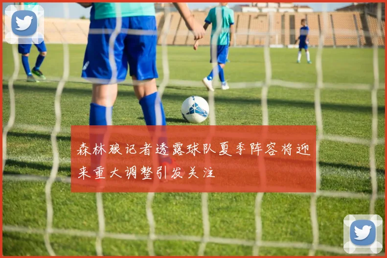 森林狼记者透露球队夏季阵容将迎来重大调整引发关注